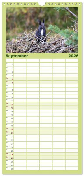 Produktbild: Familienplaner 2026 - Eichh&ouml;rnchenliebe mit 5 Spalten (Wandkalender, 21 x 45 cm) CALVENDO