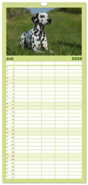 Produktbild: Familienplaner 2026 - Auf den Punkt - Dalmatiner mit 5 Spalten (Wandkalender, 21 x 45 cm) CALVENDO
