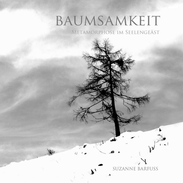 Produktbild: Baumsamkeit