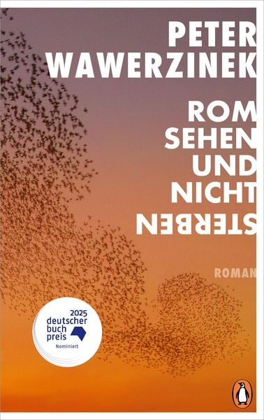 Produktbild: Rom sehen und nicht sterben