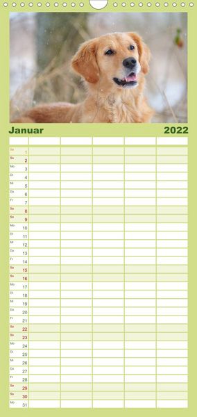 Produktbild: Familienplaner Golden Retriever (Wandkalender 2022 , 21 cm x 45 cm, hoch)