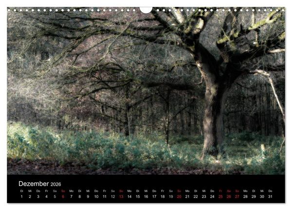 Produktbild: Mystische W&auml;lder (Wandkalender 2026 DIN A3 quer), CALVENDO Monatskalender