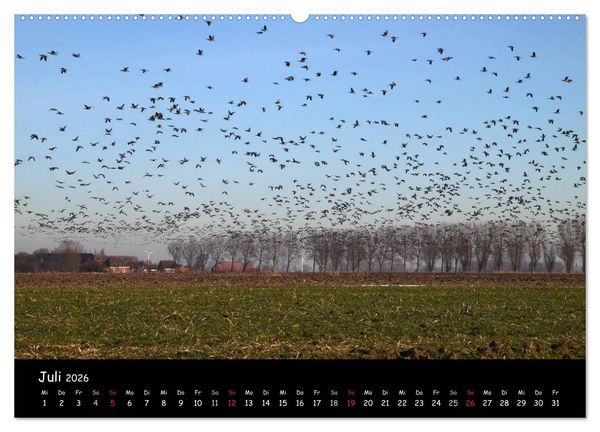 Produktbild: Schrei der Wildg&auml;nse (Wandkalender 2026 DIN A2 quer), CALVENDO Monatskalender