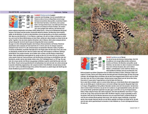 Produktbild: Safari-Reisef&uuml;hrer Ostafrika