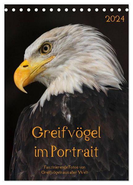 Greifvögel im Portrait (Tischkalender 2024 DIN A5 hoch), CALVENDO Monatskalender