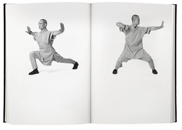 Produktbild: Shaolin Spirit