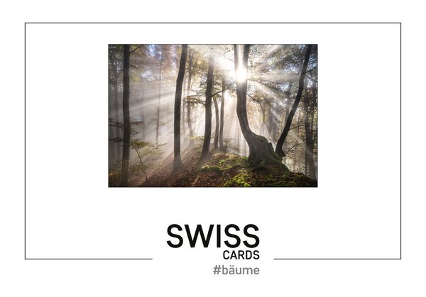 Produktbild: Swiss-Cards
