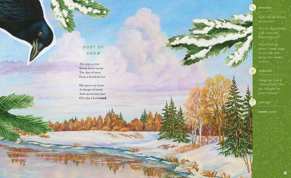 Produktbild: The Illustrated Robert Frost
