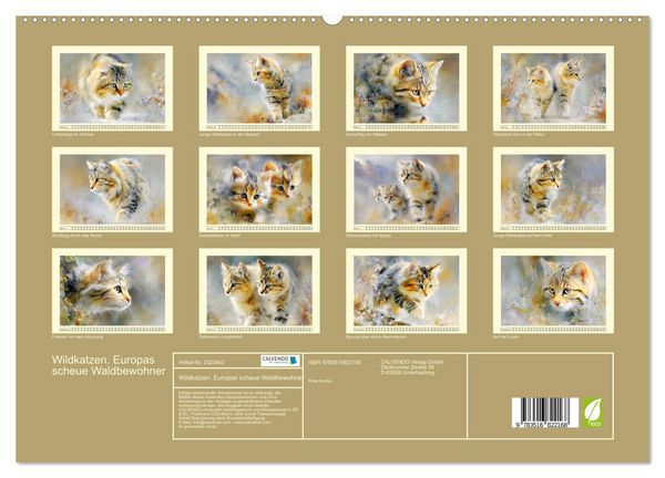 Produktbild: Wildkatzen. Europas scheue Waldbewohner (hochwertiger Premium Wandkalender 2027 DIN A2 quer), Kunstdruck in Hochglanz