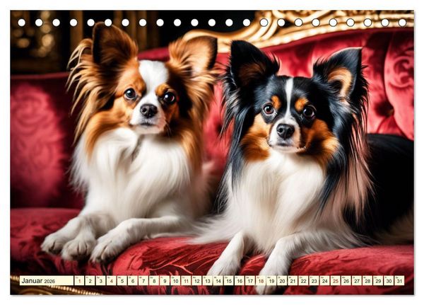 Produktbild: Papillon - bringt jedes Herz zum Schmelzen (Tischkalender 2026 DIN A5 quer), CALVENDO Monatskalender
