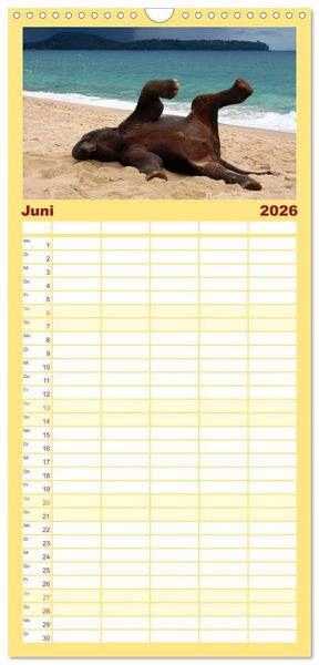 Produktbild: Familienplaner 2026 - Elefanten. Badespa&szlig; am Strand mit 5 Spalten (Wandkalender, 21 x 45 cm) CALVENDO