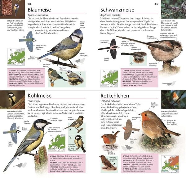 Produktbild: Gartenv&ouml;gel beobachten und bestimmen