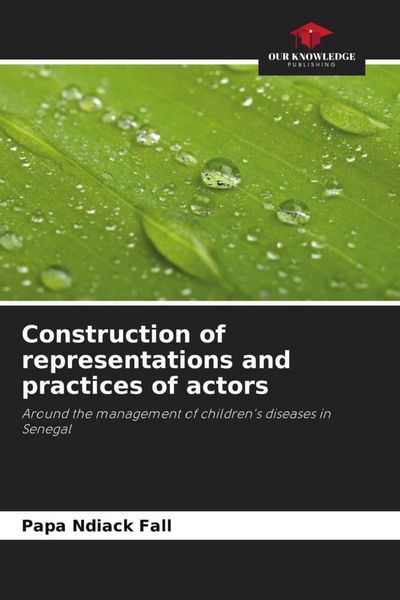 Produktbild: Construction of representations and practices of actors