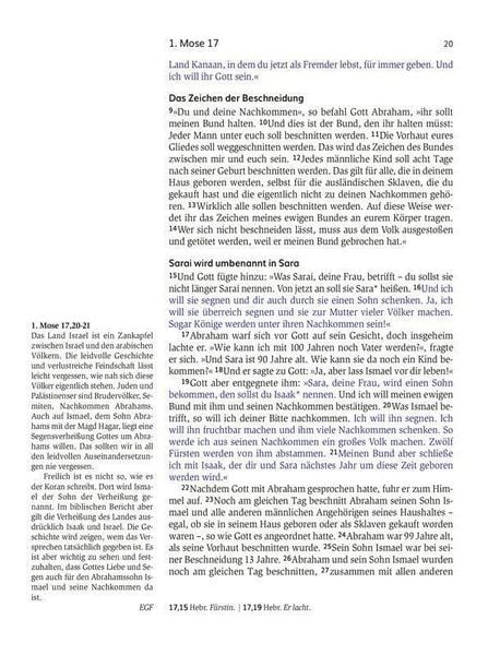 Produktbild: Das Buch der Versprechen