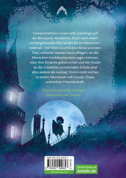 Produktbild: Storm 1: Das Internat des Gruselns