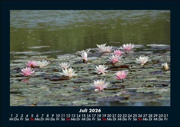 Produktbild: Seeblick 2026 Fotokalender DIN A5