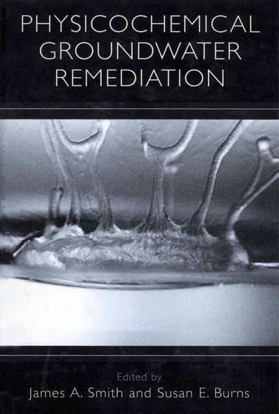 Produktbild: Physicochemical Groundwater Remediation