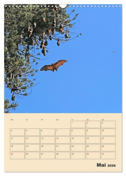 Produktbild: Sri Lanka - Terminplaner (Wandkalender 2026 DIN A3 hoch), CALVENDO Monatskalender