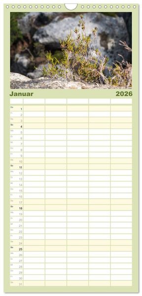 Produktbild: Familienplaner 2026 - Zauberhaftes Heidekraut - Elbsandstein mit 5 Spalten (Wandkalender, 21 x 45 cm) CALVENDO