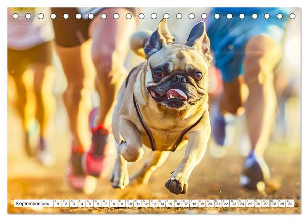 Produktbild: Mops-Mania - Der Spa&szlig;kalender f&uuml;r Mops-Fans (Tischkalender 2026 DIN A5 quer), CALVENDO Monatskalender