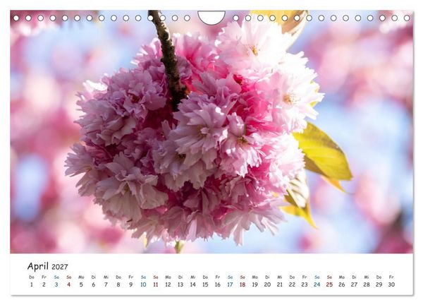Produktbild: Typisch Magdeburg (Wandkalender 2027 DIN A4 quer), CALVENDO Monatskalender