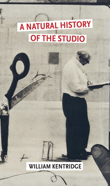 Produktbild: A Natural History of the Studio