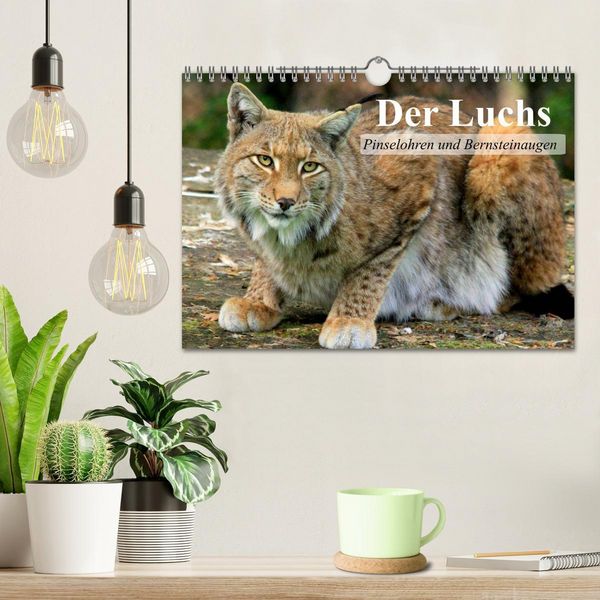 Produktbild: Der Luchs. Pinselohren und Bernsteinaugen (Wandkalender 2026 DIN A4 quer), CALVENDO Monatskalender