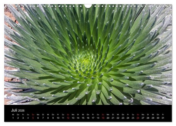 Produktbild: Paradiese der Erde - HAWAII (Wandkalender 2026 DIN A3 quer), CALVENDO Monatskalender