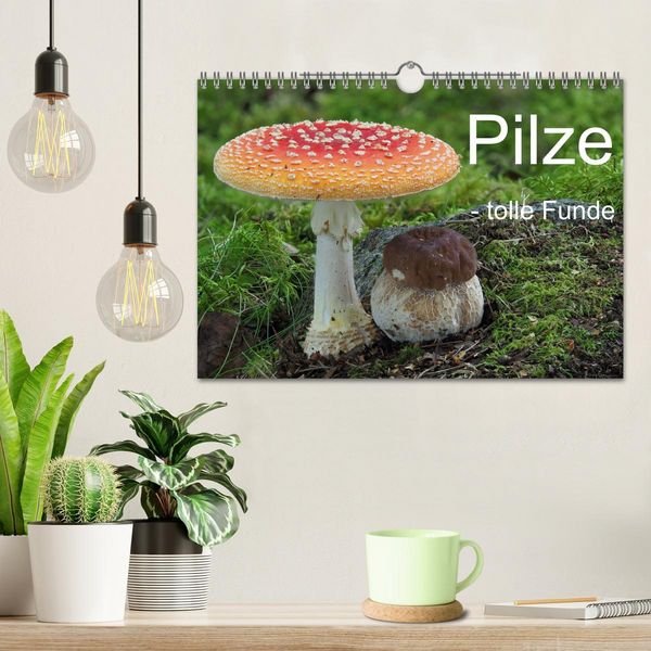 Produktbild: Pilze - tolle Funde (Wandkalender 2026 DIN A4 quer), CALVENDO Monatskalender