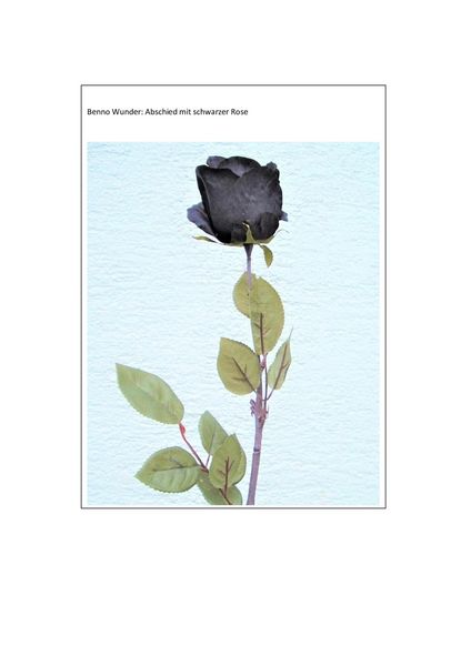 Produktbild: Abschied mit schwarzer Rose