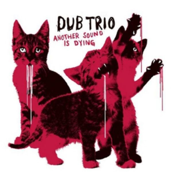 Another Sound Is Dying - Dub Trio, CD