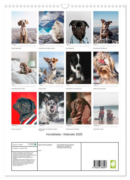 Produktbild: Hundeliebe - Kalender 2026 (Wandkalender 2026 DIN A3 hoch), CALVENDO Monatskalender