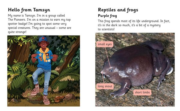 Produktbild: Rare and Unusual Creatures