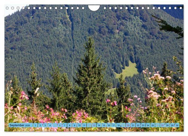 Produktbild: Sch&ouml;ner Forggensee (Wandkalender 2026 DIN A4 quer), CALVENDO Monatskalender