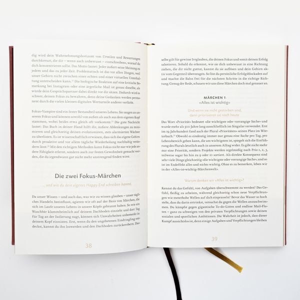 Das 6-Minuten-Erfolgsjournal (mittelblau)