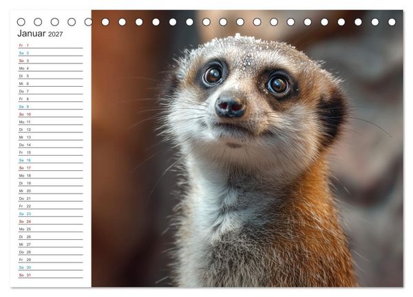 Produktbild: Die Welt der Erdm&auml;nnchen (Tischkalender 2027 DIN A5 quer), CALVENDO Monatskalender
