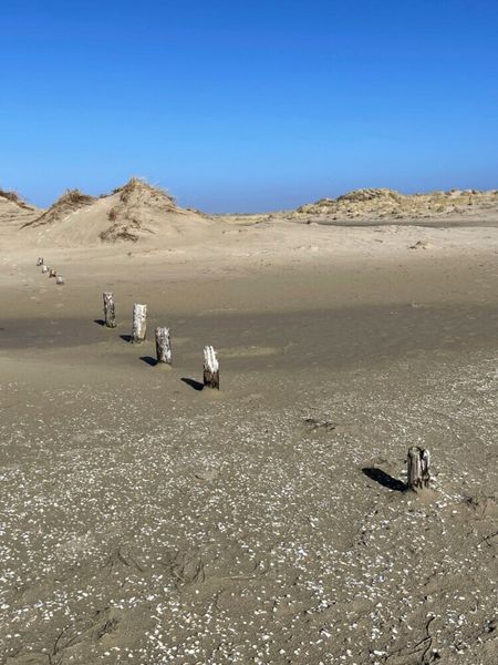 Produktbild: CALVENDO Puzzle Weite D&uuml;nenlandschaft in Nordfriesland | 1000 Teile Lege-Gr&ouml;&szlig;e 64x48cm Foto-Puzzle f&uuml;r gl&uuml;ckliche Stunden