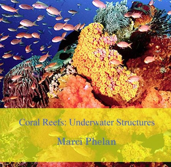 Produktbild: Coral Reef