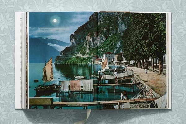 Produktbild: The Alps 1900. A Portrait in Color