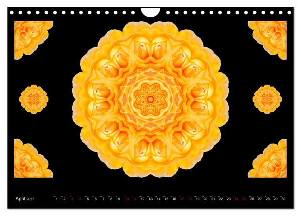 Produktbild: ROSEN MANDALAS (Wandkalender 2027 DIN A4 quer), CALVENDO Monatskalender