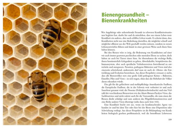 Produktbild: Imkern mit der Einraumbeute
