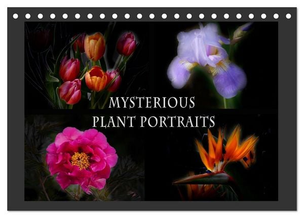 Produktbild: Mysterious plant portraits (Desk Calendar 2026 DIN A5 landscape), CALVENDO 12 Month DeskCalendar