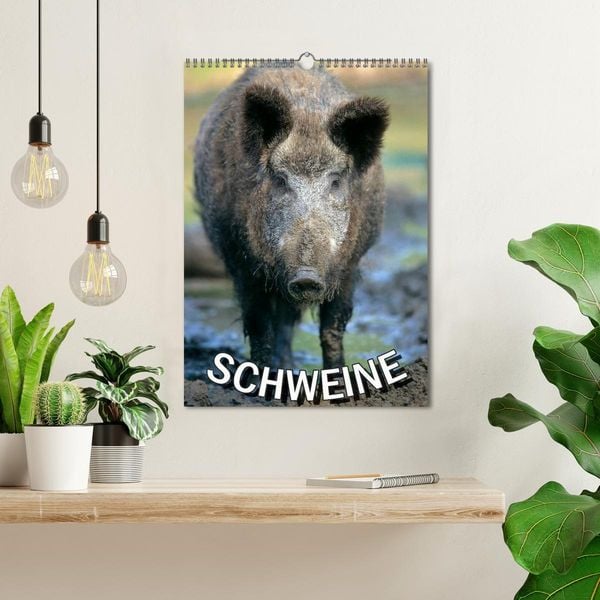 Produktbild: Schweine 2026 (Wandkalender 2026 DIN A3 hoch), CALVENDO Monatskalender