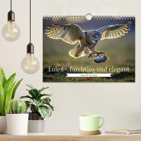 Produktbild: Eulen - furchtlos und elegant (Wandkalender 2027 DIN A4 quer), CALVENDO Monatskalender