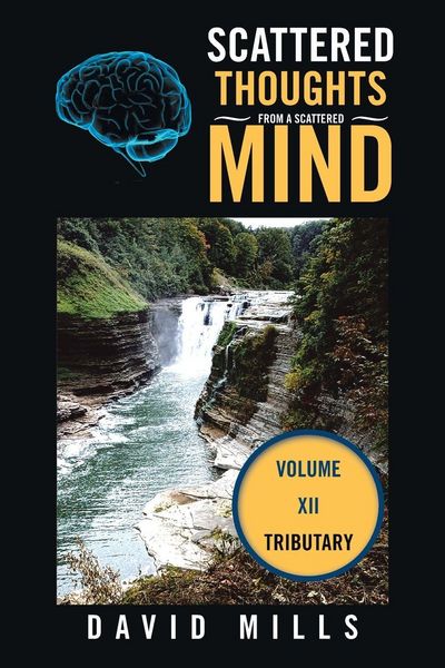 Produktbild: Scattered Thoughts From a Scattered Mind