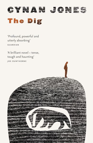 Produktbild: The Dig