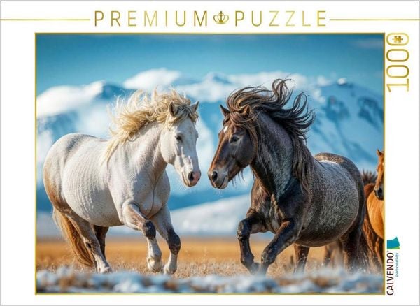 CALVENDO Puzzle Kräfte messen | 1000 Teile Lege-Größe 64x48cm Foto-Puzzle für glückliche Stunden, Sonstige von , Calvendo Puzzle, 4066851500188