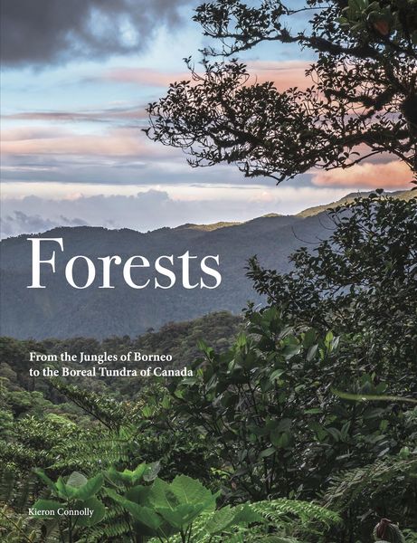 Produktbild: Forests