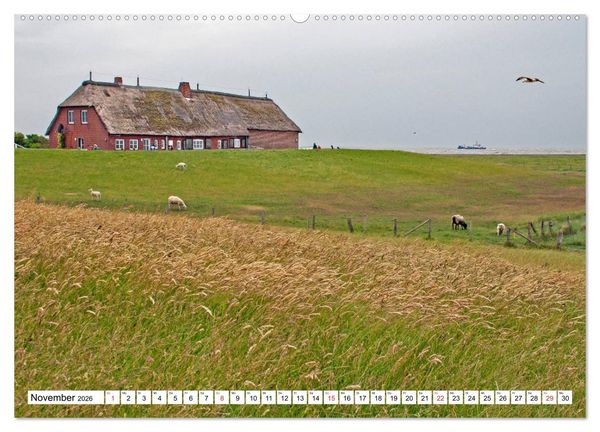 Produktbild: Die Nordsee zwischen Stade und Pellworm (hochwertiger Premium Wandkalender 2026 DIN A2 quer), Kunstdruck in Hochglanz