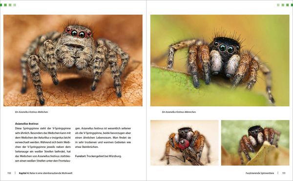 Produktbild: Extreme Wildlife-Makrofotografie
